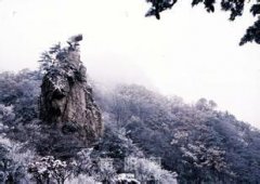 崔庄乡汽车救援,崔庄乡道路救援,崔庄乡拖车救援电话