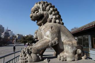 chengde248Ԯ绰