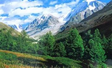 阿尔泰山汽车救援电话
